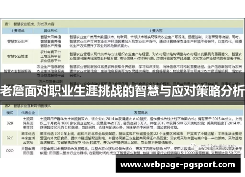 老詹面对职业生涯挑战的智慧与应对策略分析
