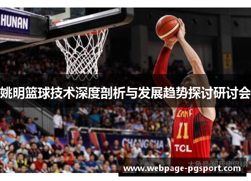 姚明篮球技术深度剖析与发展趋势探讨研讨会