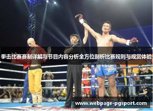 拳击比赛赛制详解与节目内容分析全方位剖析比赛规则与观赏体验