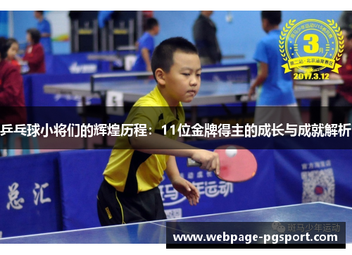 乒乓球小将们的辉煌历程：11位金牌得主的成长与成就解析