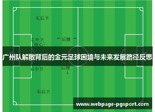 广州队解散背后的金元足球困境与未来发展路径反思